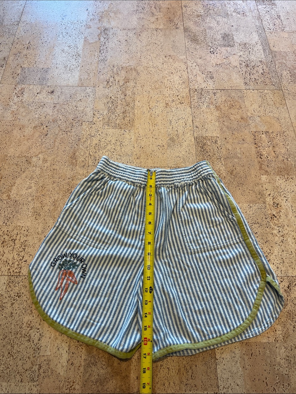 Kimchi Blue Blue and White Striped High-Waist Shorts with Green Trim